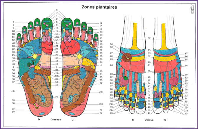 Les bienfaits de la réflexologie
